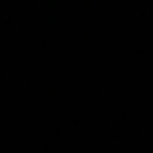 Meet your Posher, Gianna